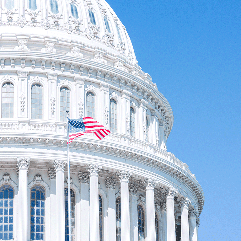 capitol dome with flag in front